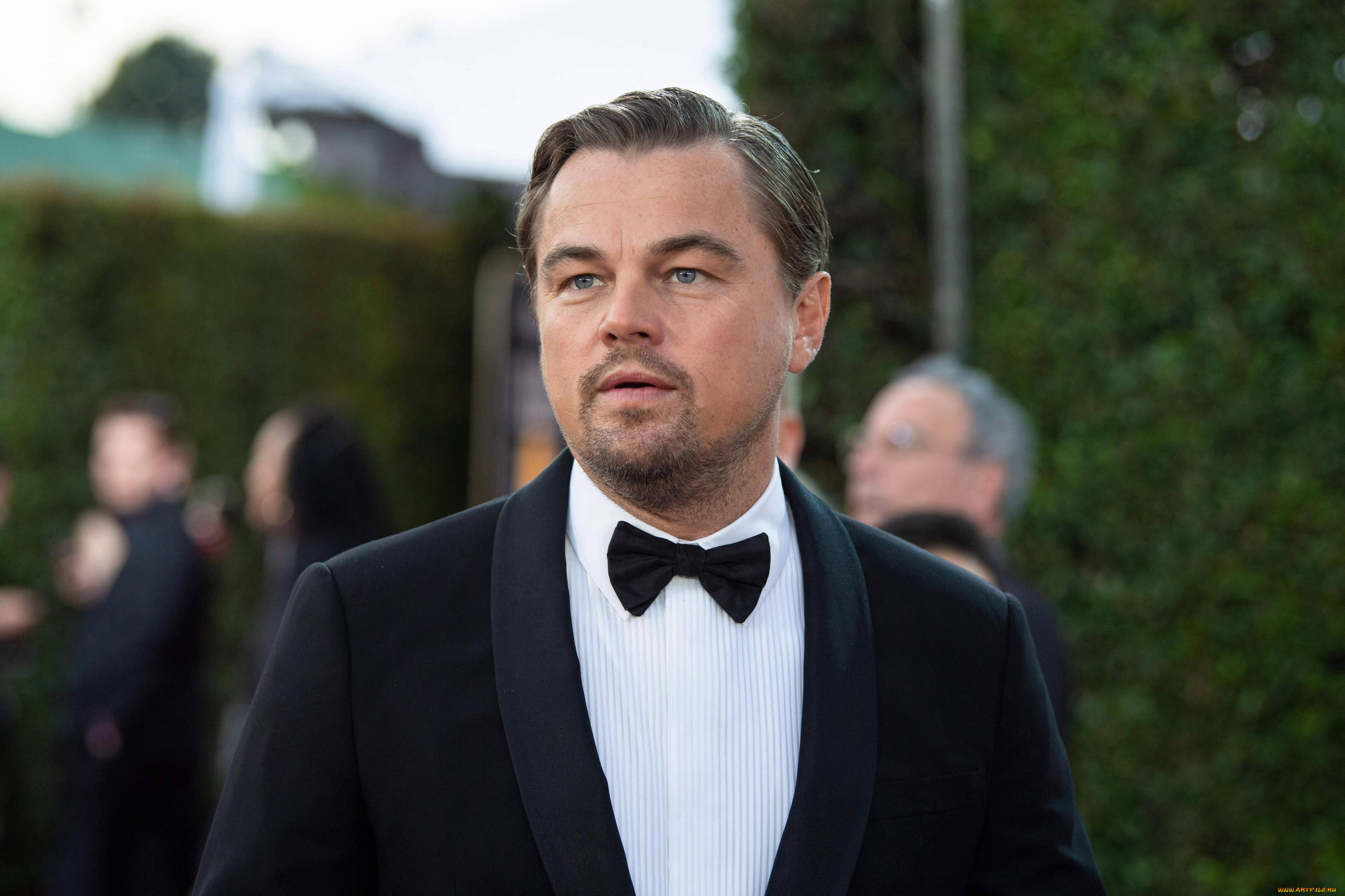 , leonardo dicaprio, , , 